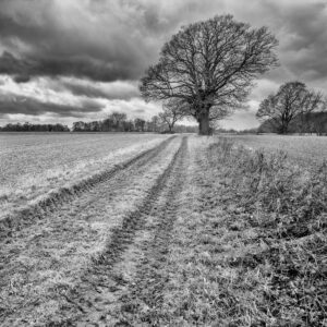 B&W fine art photographer, Leica landscape photographer